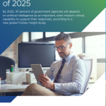 VMWARE: The Government CIO of 2025